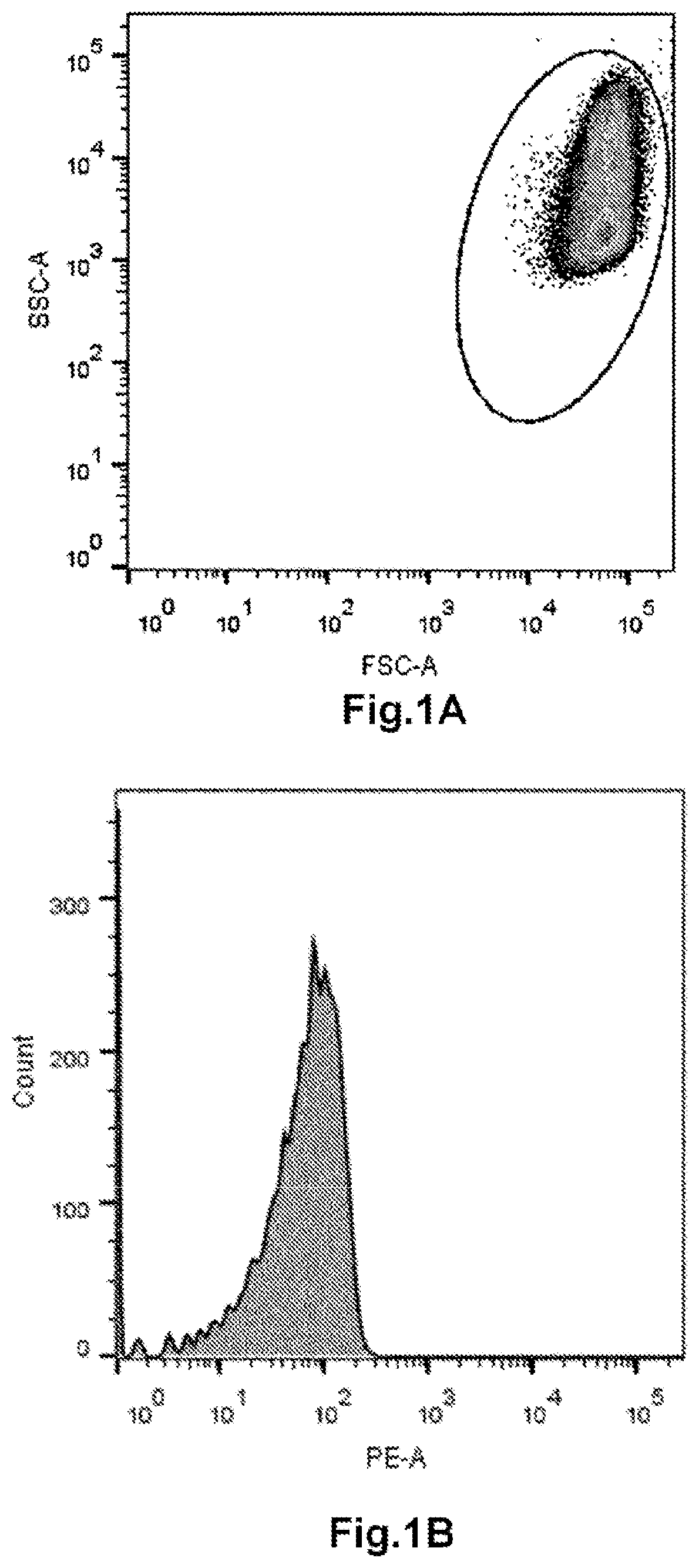 Method for determining the haemoglobin F content of an erythroid cell