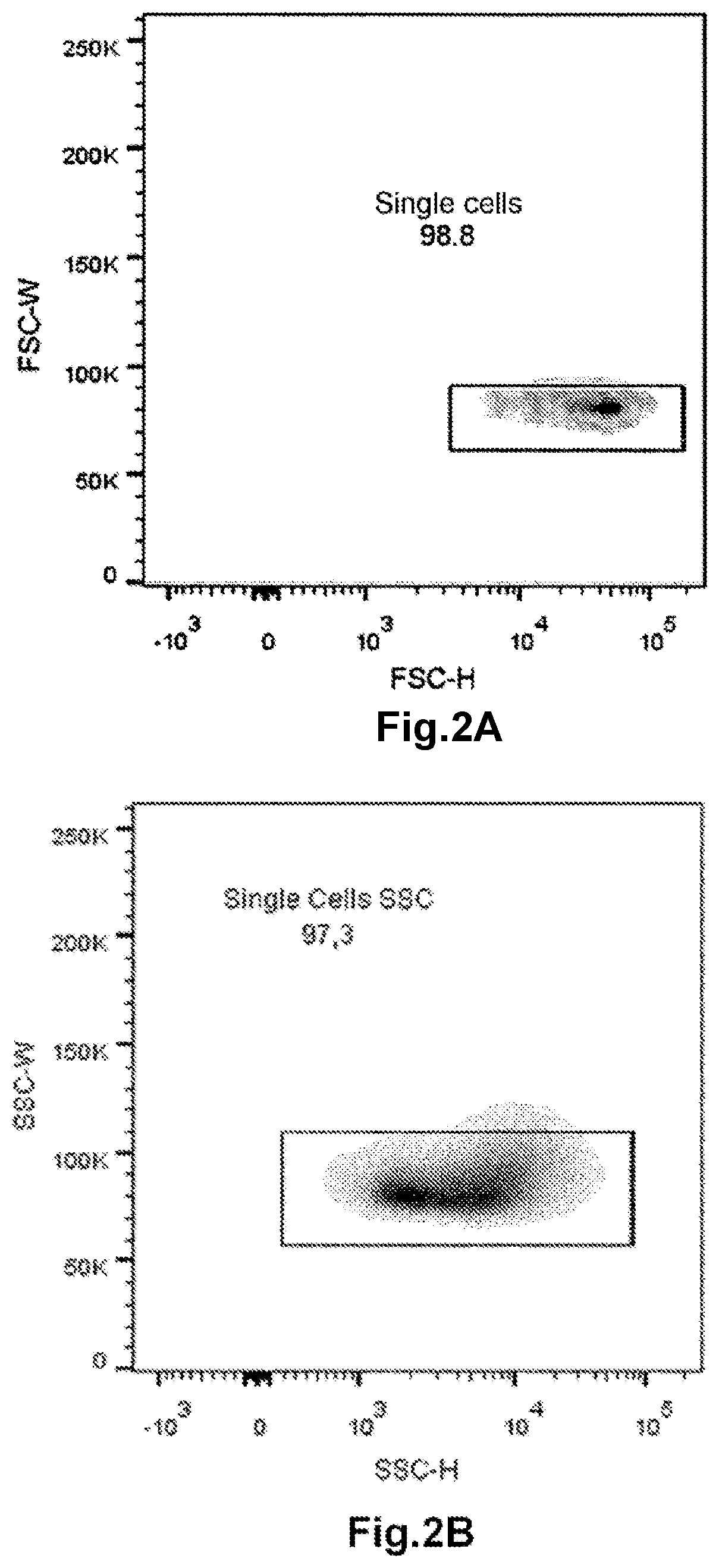 Method for determining the haemoglobin F content of an erythroid cell