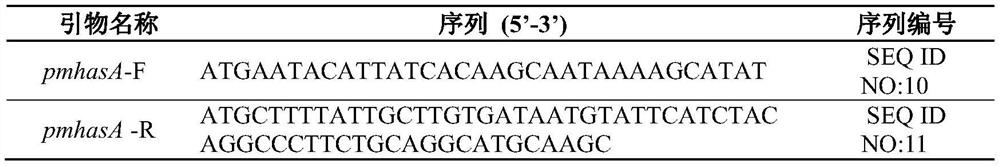 Method for producing and preparing ultra-high molecular weight hyaluronic acid by microbial fermentation method