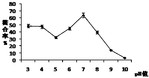 Glutamic acid chelated calcium prepared by using eggshells as calcium source and preparation method of glutamic acid chelated calcium