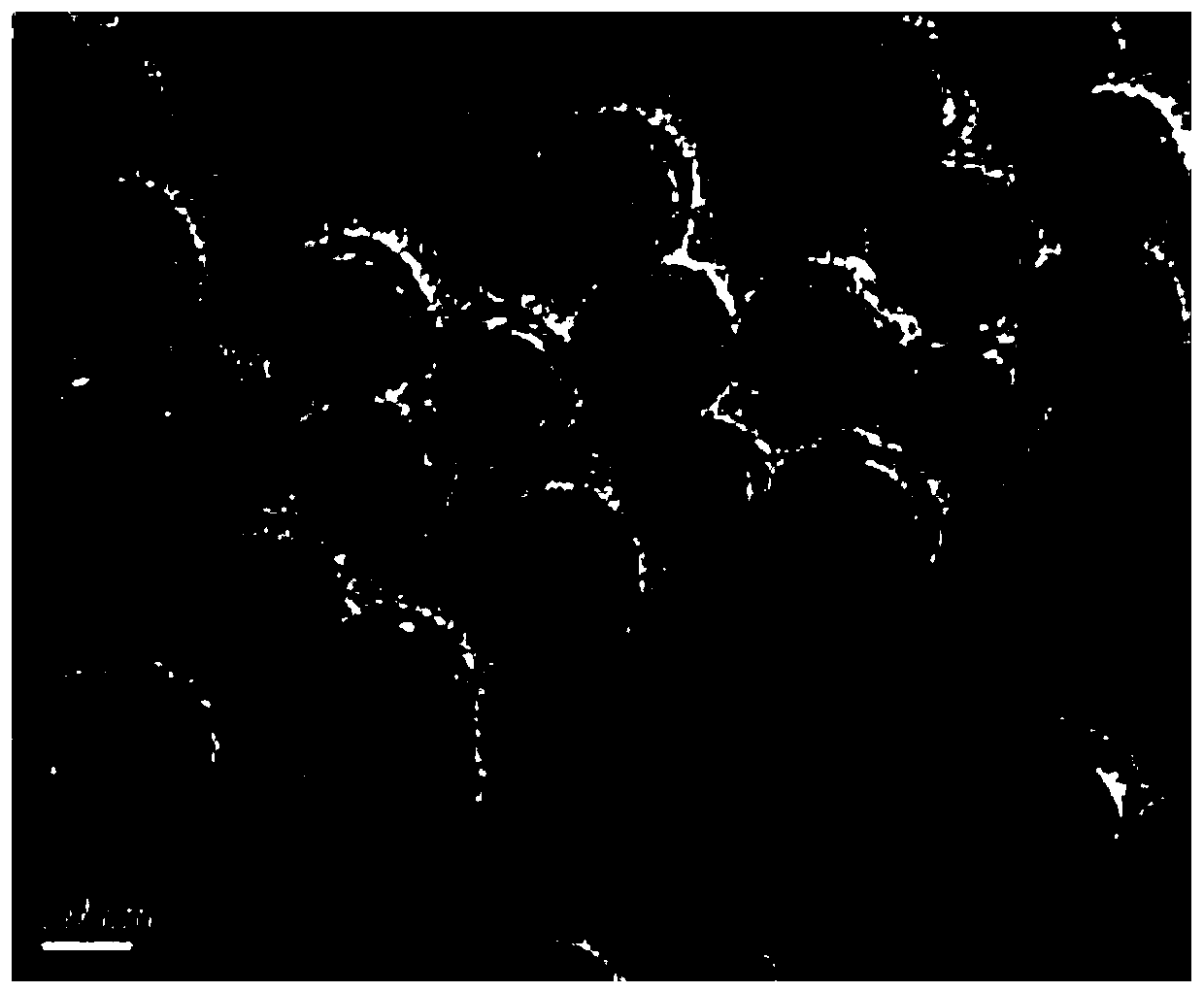 Method for detecting content of lead in tea leaves based on upconversion-gold nanometer-magnetic nanometer specific system