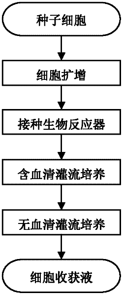 Serum free medium and culture method for high expression of erythropoietin in CHO (Chinese hamster ovary) cells