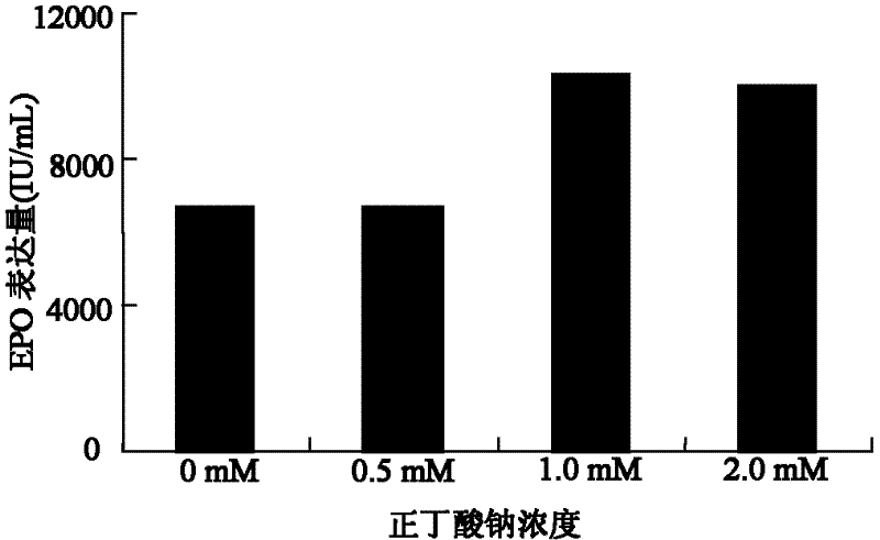 Serum free medium and culture method for high expression of erythropoietin in CHO (Chinese hamster ovary) cells