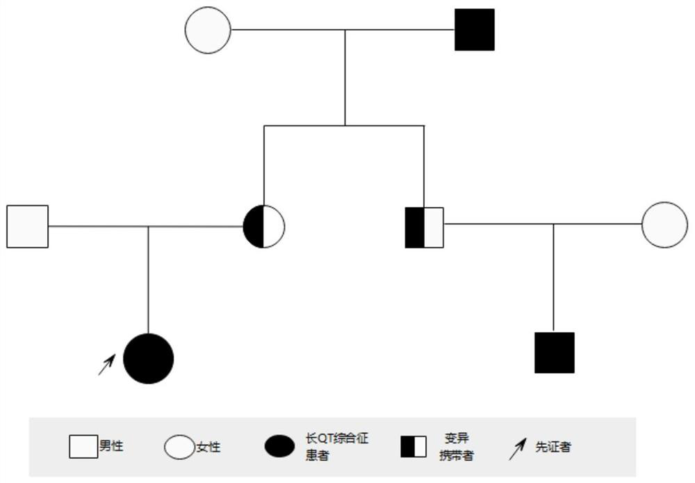 A detection kit for kcnh2 mutation gene and long qt syndrome