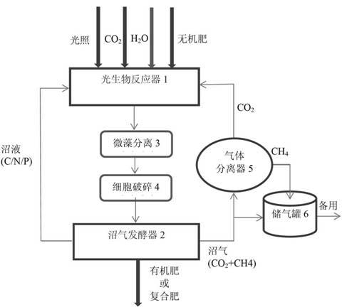 Method for producing biogas energy while preparing organic fertilizer or compound fertilizer by using inorganic fertilizer