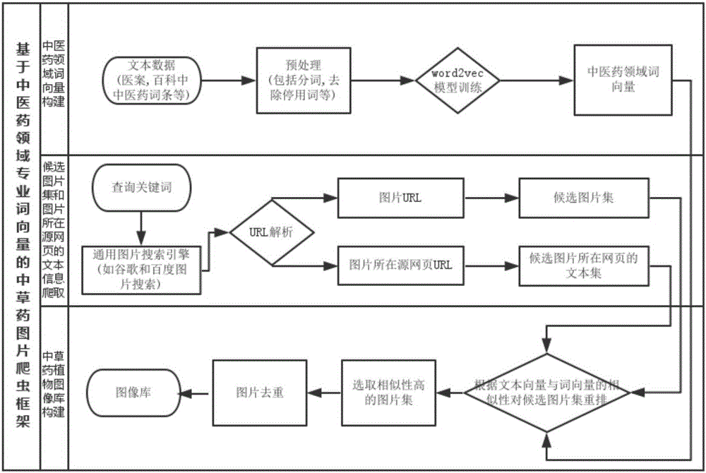 Chinese herbal medicine plant picture capturing method based on professional term vector of traditional Chinese medicine and pharmacy field