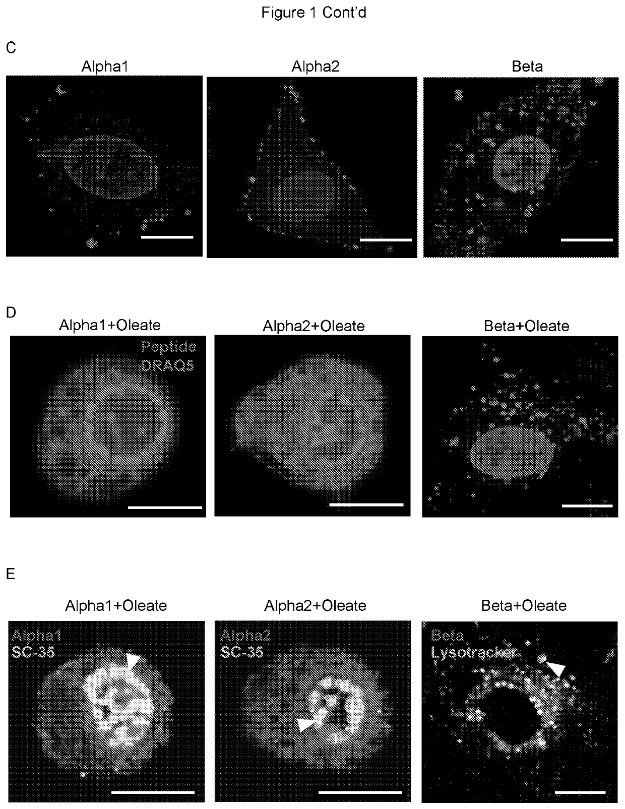 Therapeutically active complexes