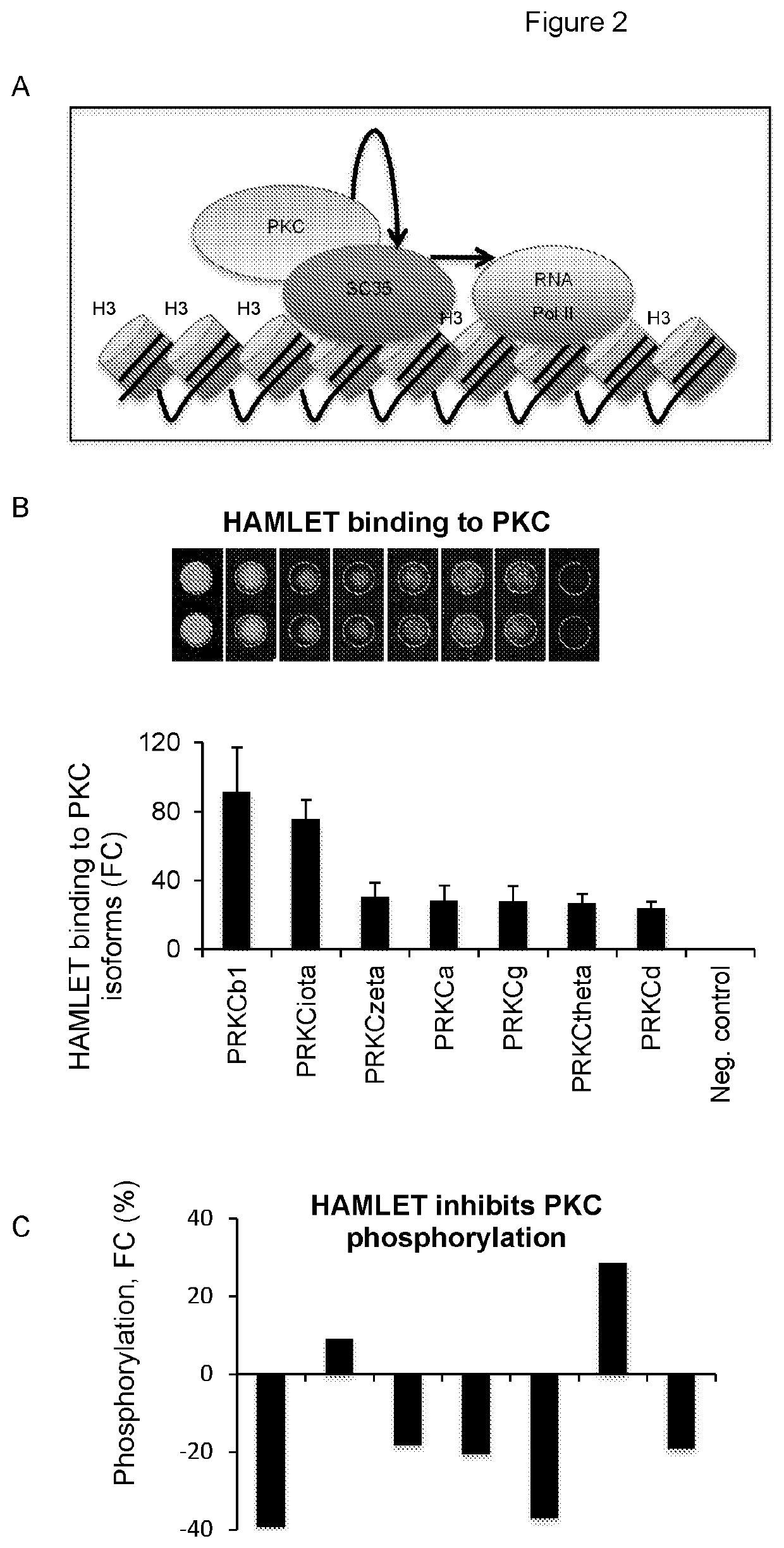 Therapeutically active complexes