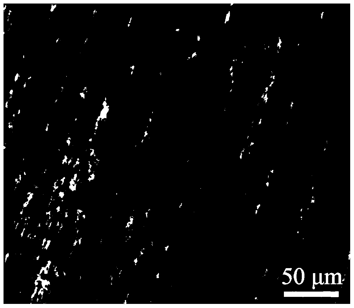 Biodegradable polymer composite with high thermal conductivity and preparation method thereof