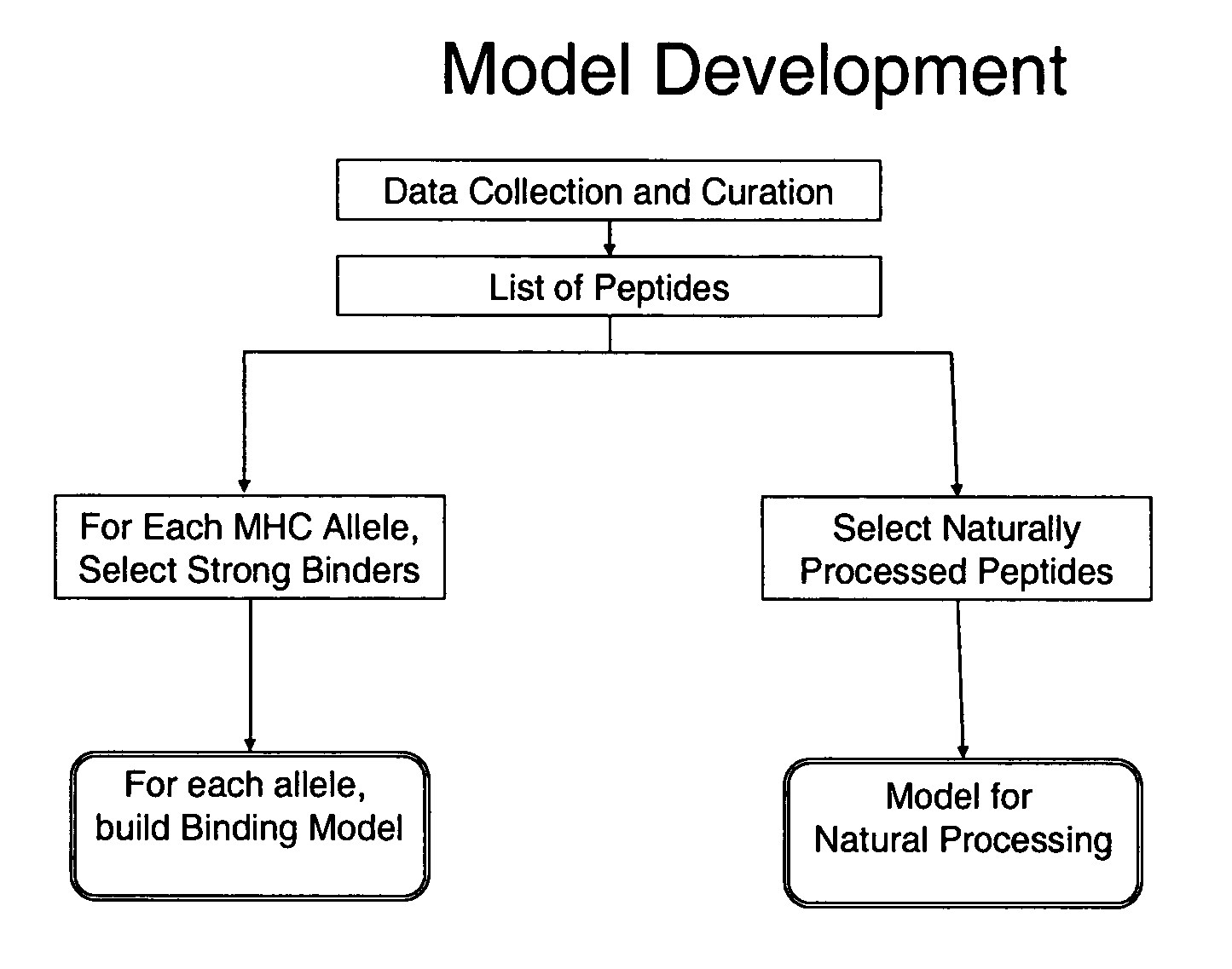 System and method for automated selection of T-cell epitopes