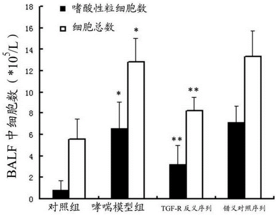 TGF-r antisense sequence and its application in the preparation of anti-airway inflammatory response medicine