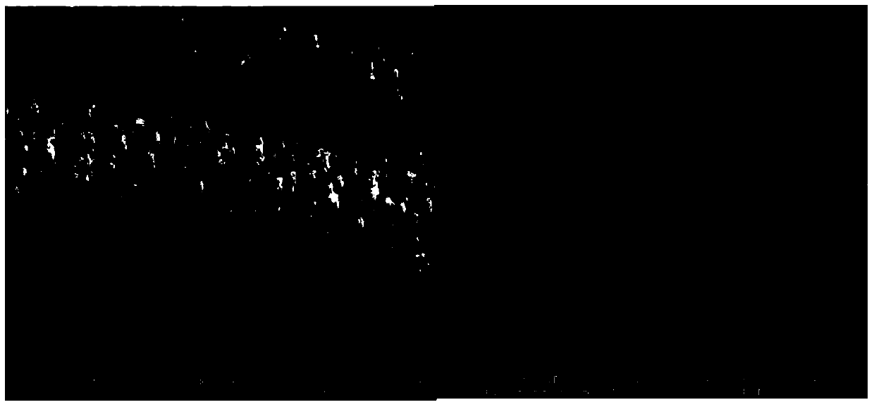 Preparation method of carbon nanotube/manganese dioxide hybridization supercapacitor electrode material