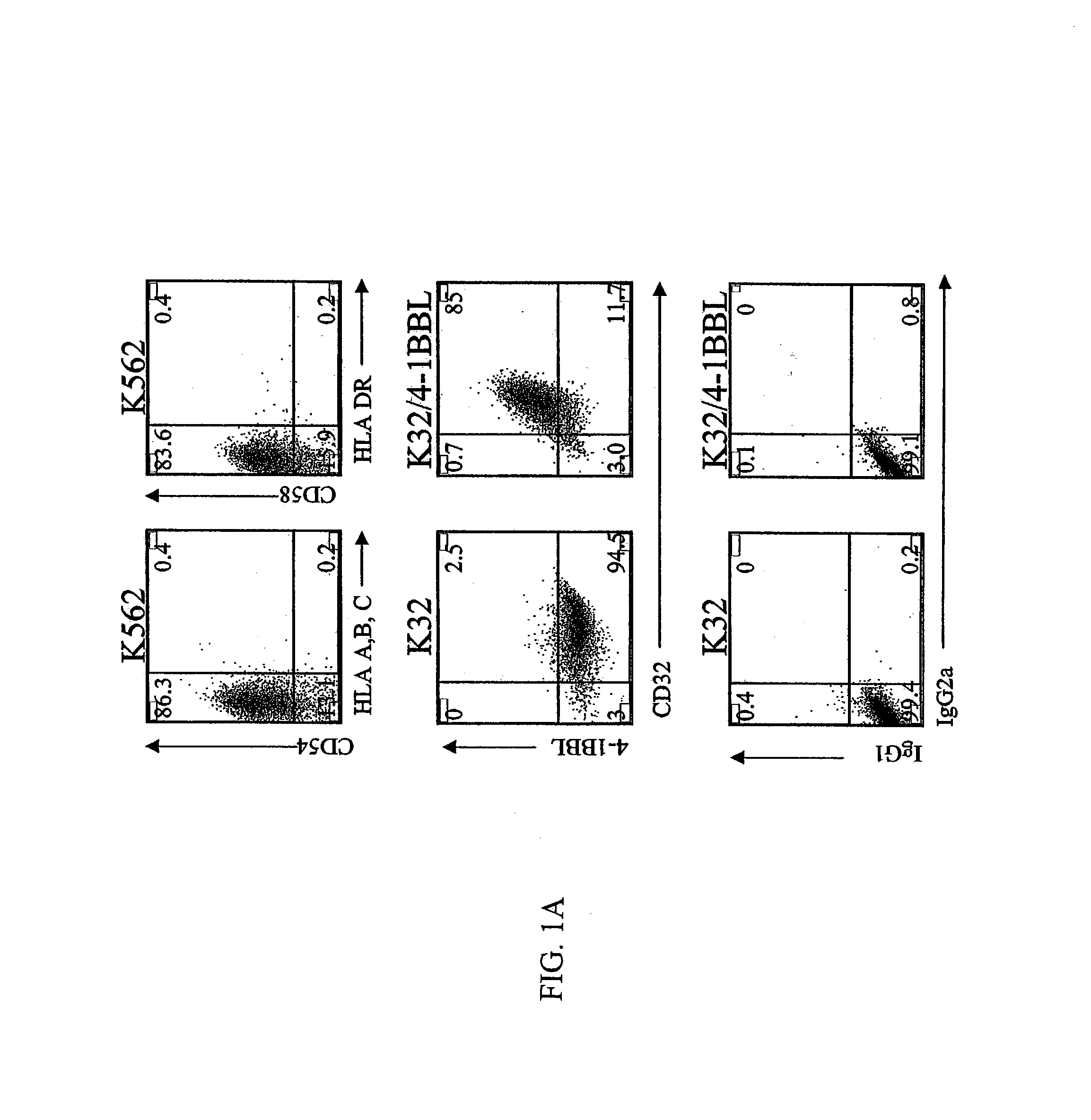 Activation and expansion of T-cells using an agent that provides a primary activation signal and another agent that provides a co-stimulatory signal