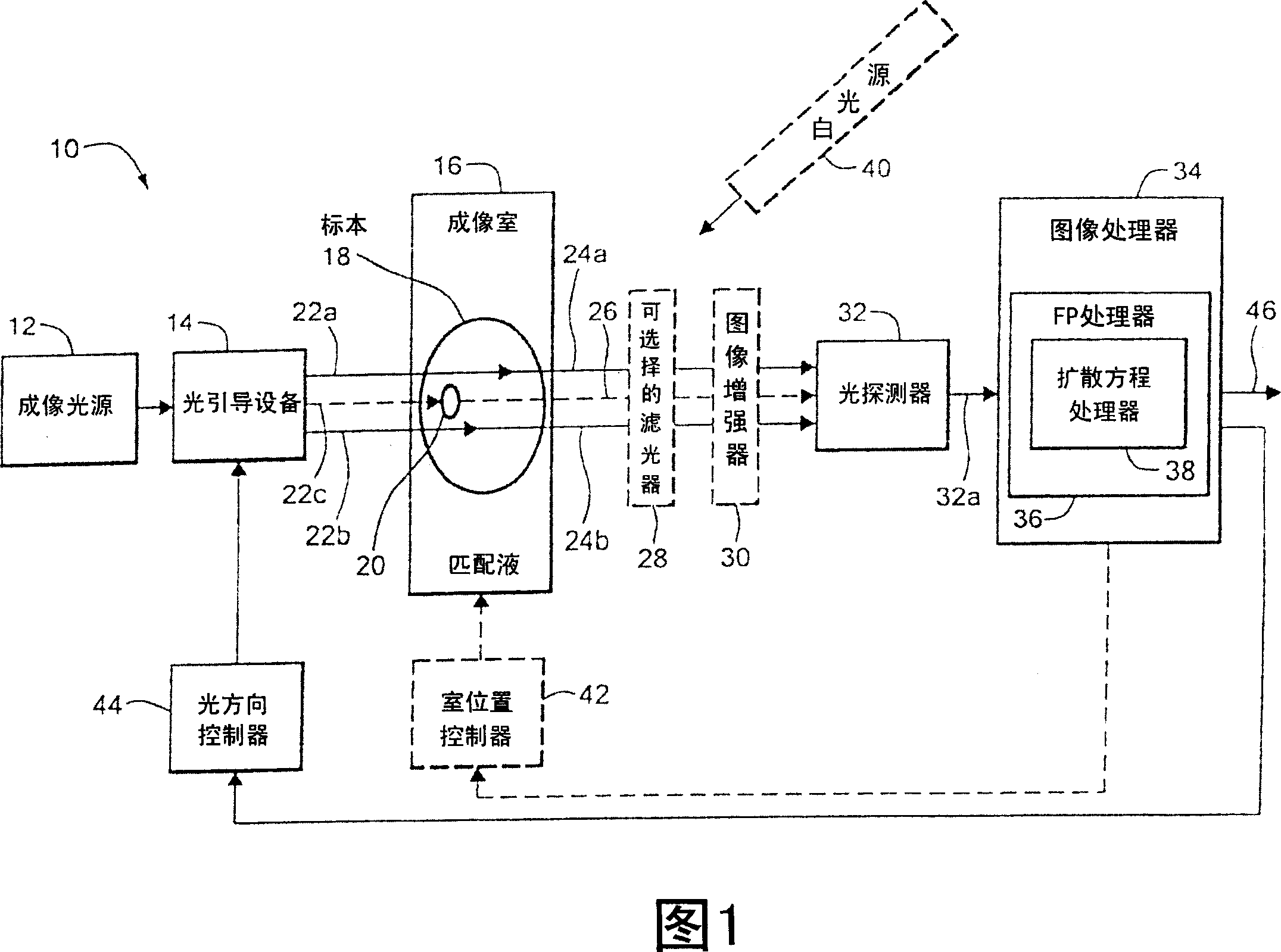 Method and system for tomographic imaging using fluorescent proteins