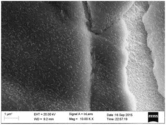 A method for preparing nickel hydroxide-nickel oxide thin film electrodes based on in-situ growth