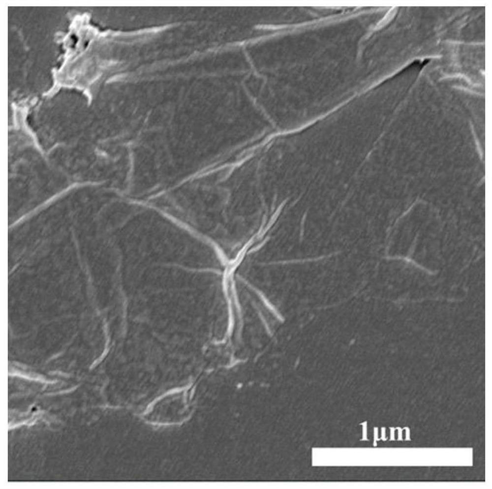 Aminated graphene culture mediumas well as preparation method and application thereof in regulation of induced pluripotent stem cells