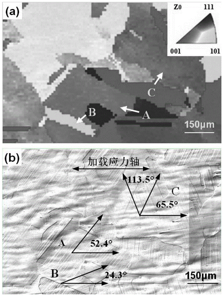 Method for determining polycrystalline metal deformation activation slippage system