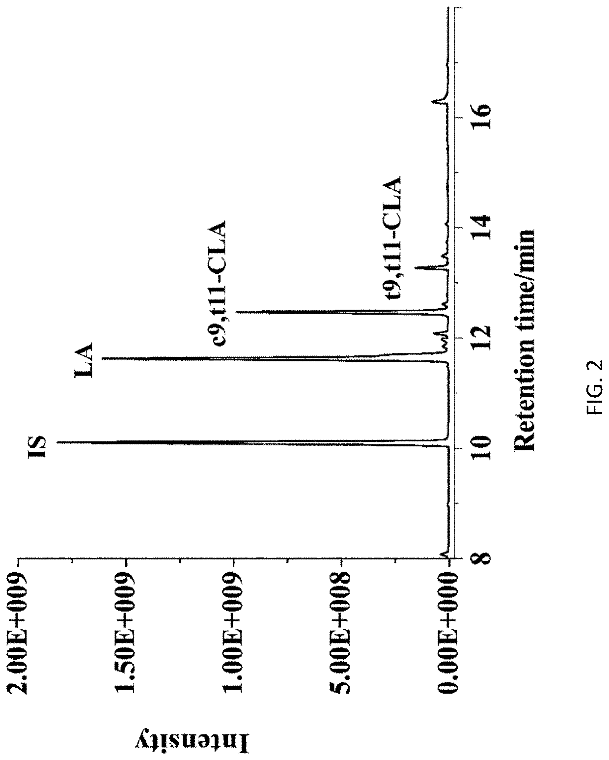 Linoleic Acid Isomerase and its Application in Production of Conjugated Linoleic Acid