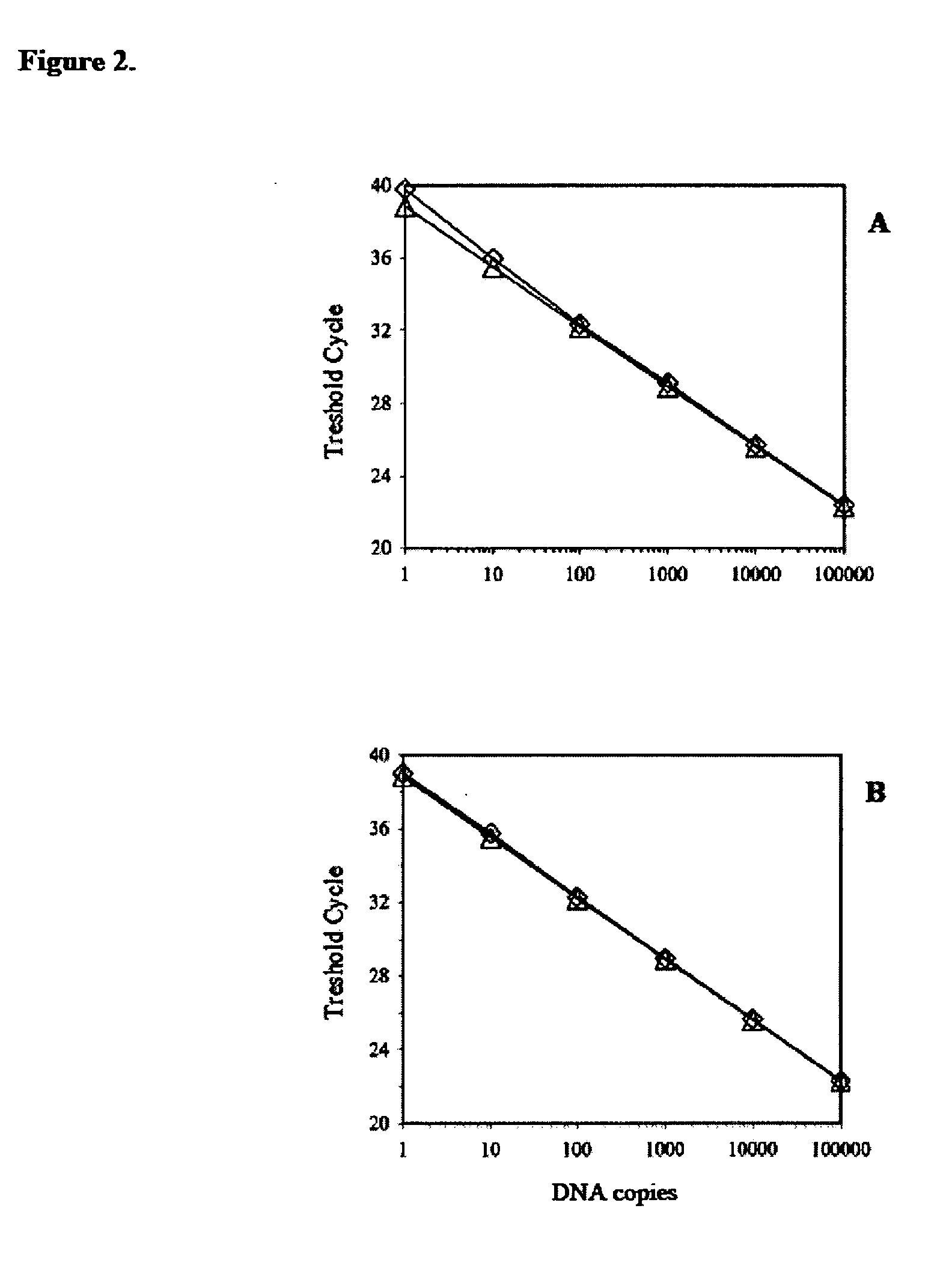 Identification and quantification of oncogenic HPV nucleic acids by means of real-time PCR assays