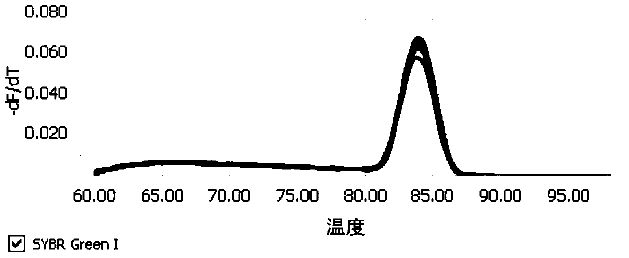 Method and primer for detecting copy number of recombinant human nerve growth factor gene