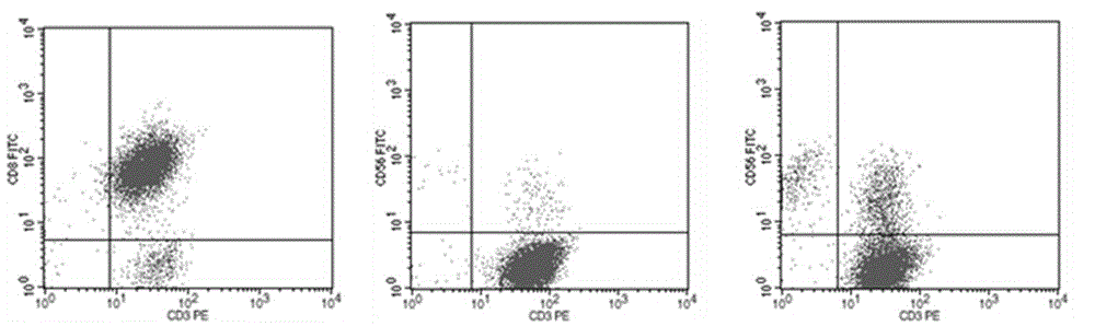 Efficient CIK cell culturing method