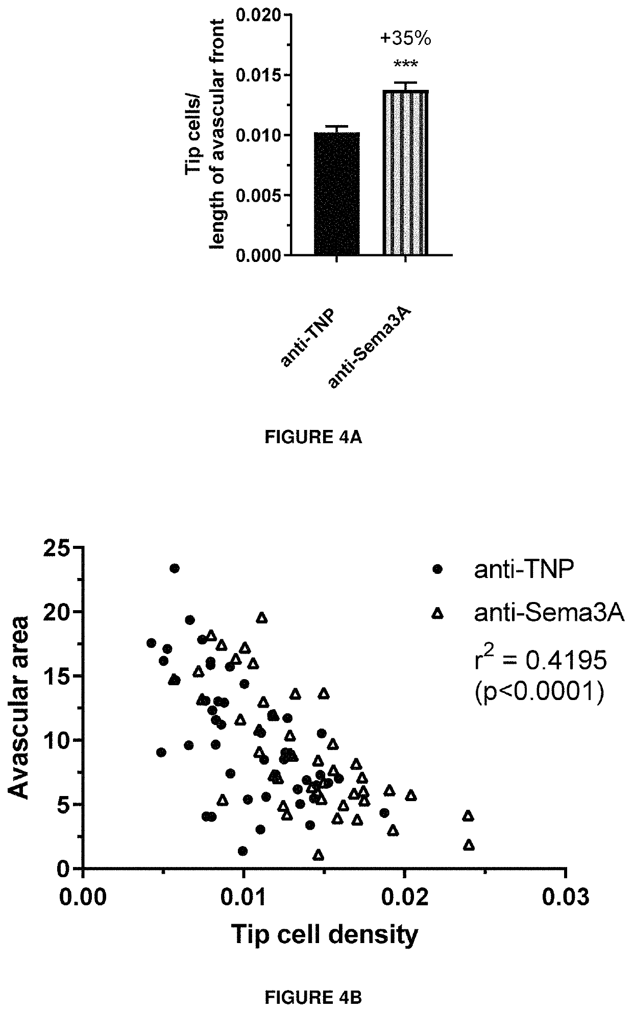 Anti-Sema3A antibodies and their uses for treating eye or ocular diseases