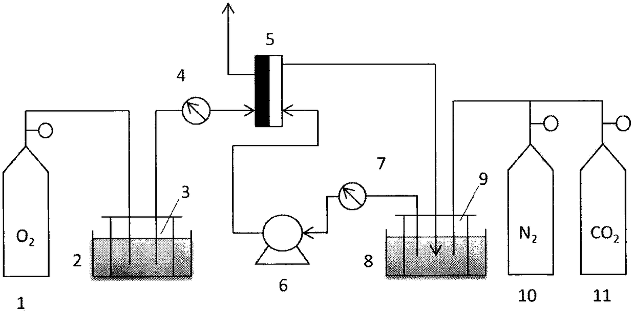 Modification method for carrying out gaseous polyfluoride grafting on surfaces of membrane type artificial lungs by utilizing low-temperature plasma technology