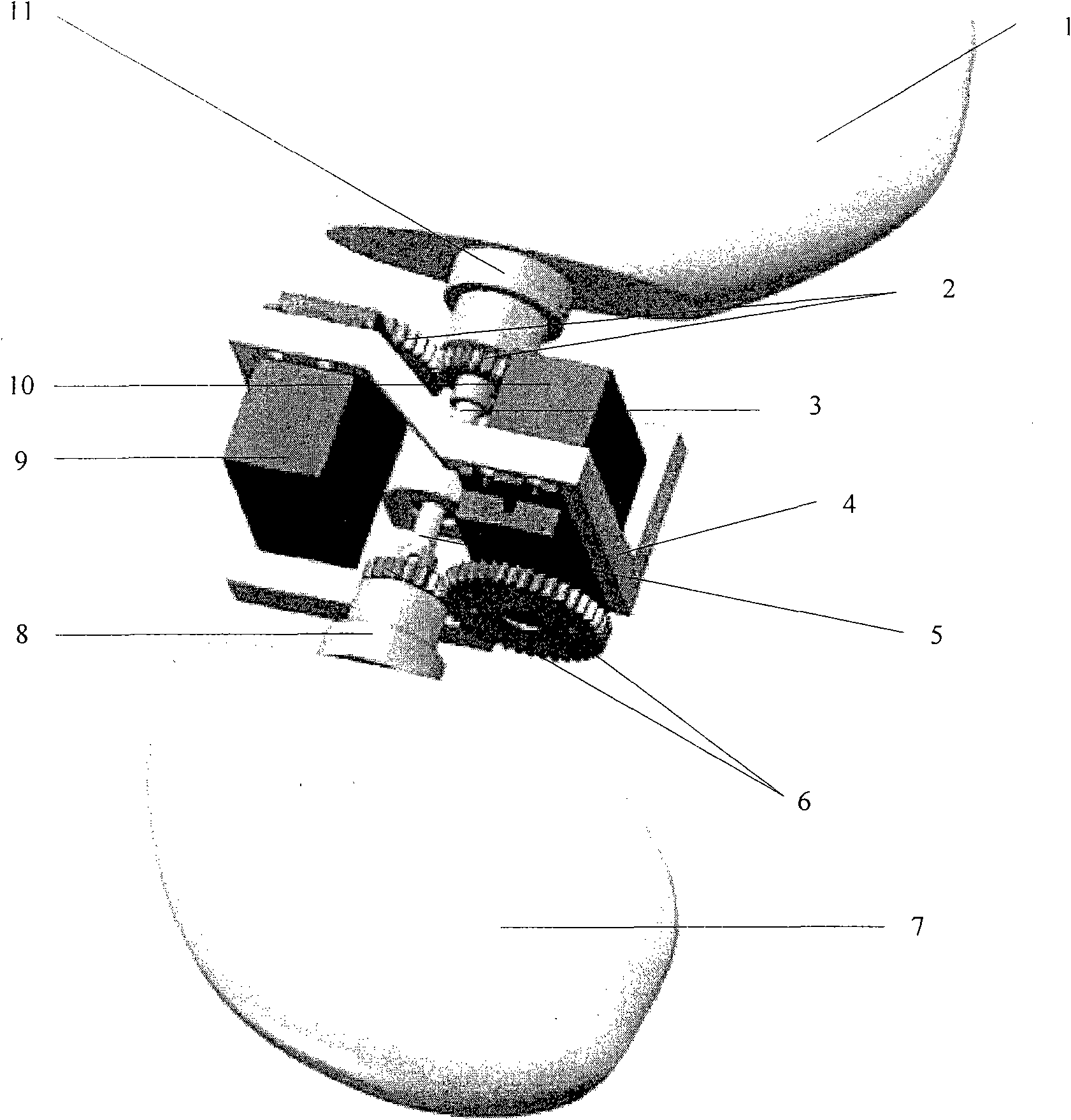 Movement control method of pectoral fin impelling type machine fish