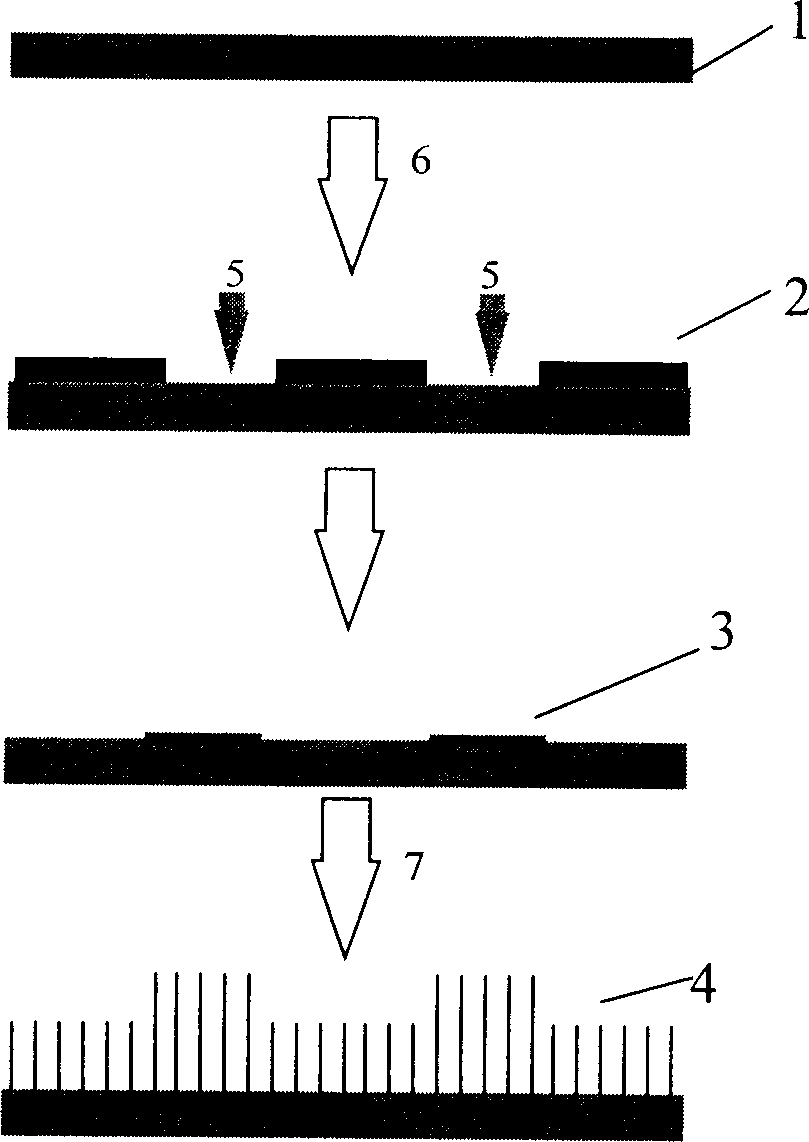 Process for preparing strip type array carbon nano tube