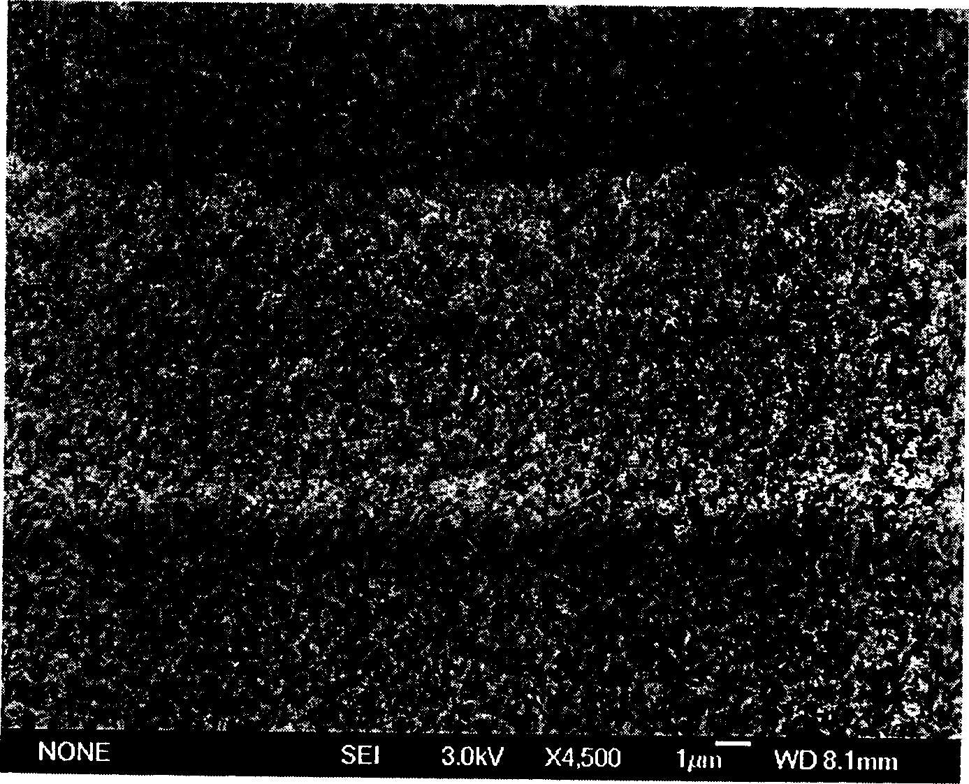 Process for preparing strip type array carbon nano tube