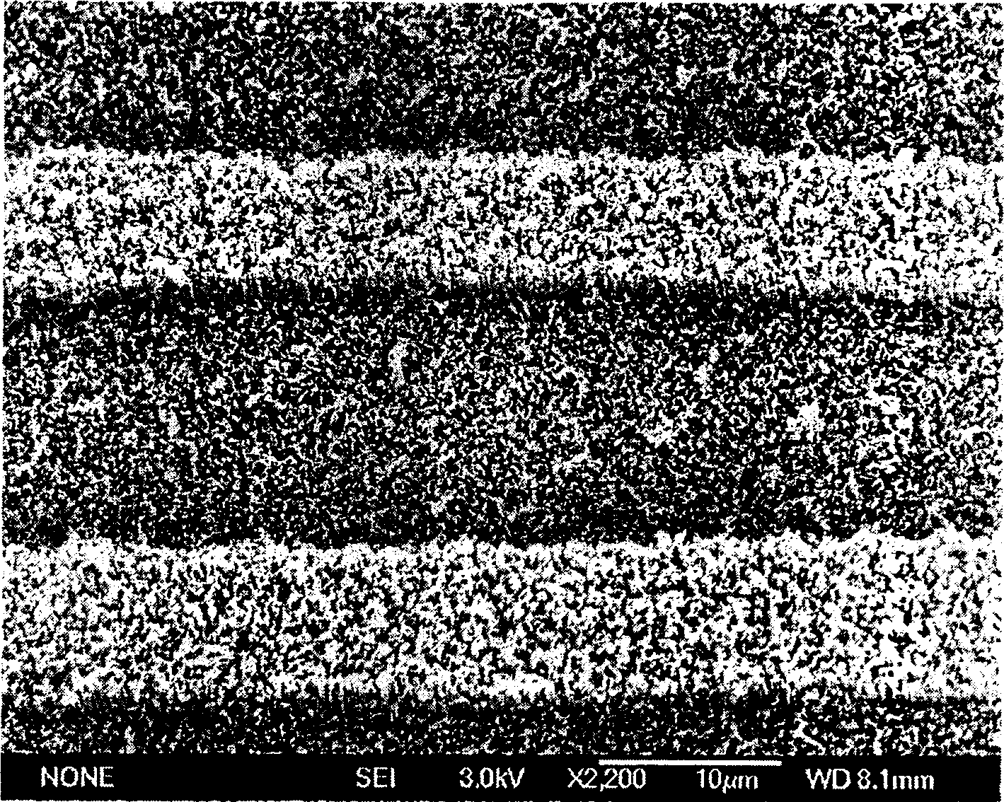 Process for preparing strip type array carbon nano tube