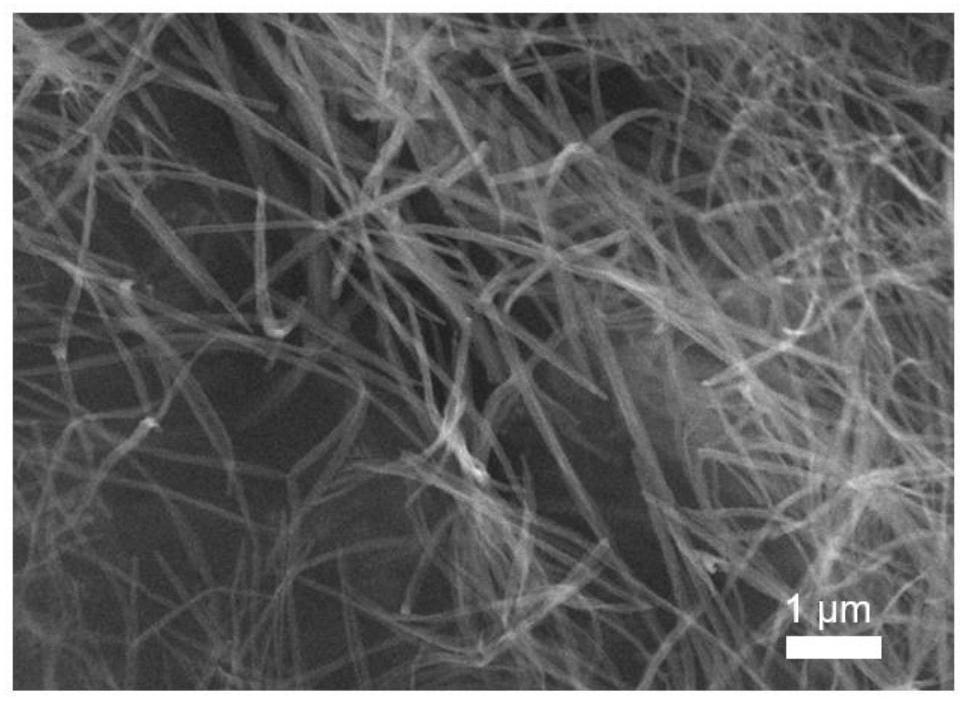 Preparation and application methods of porous boron nitride nanofiber/polyvinyl alcohol composite hydrogel