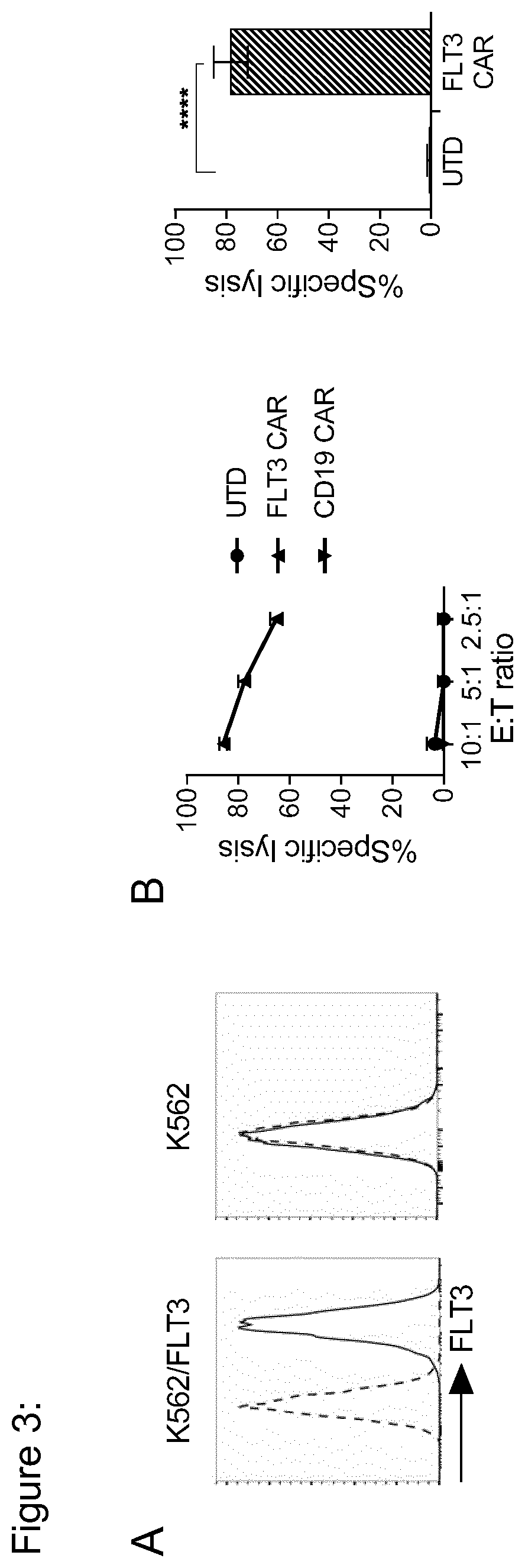 Use of flt3 car-t cells and flt3 inhibitors to treat acute myeloid leukemia