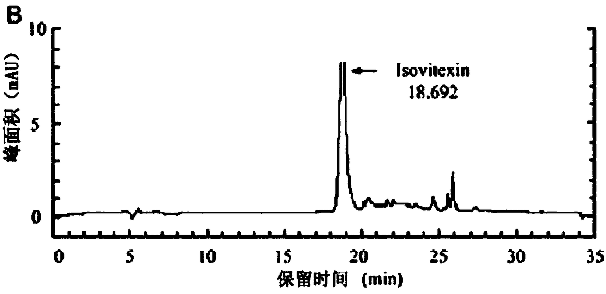 Processing method of active premade cooked beans