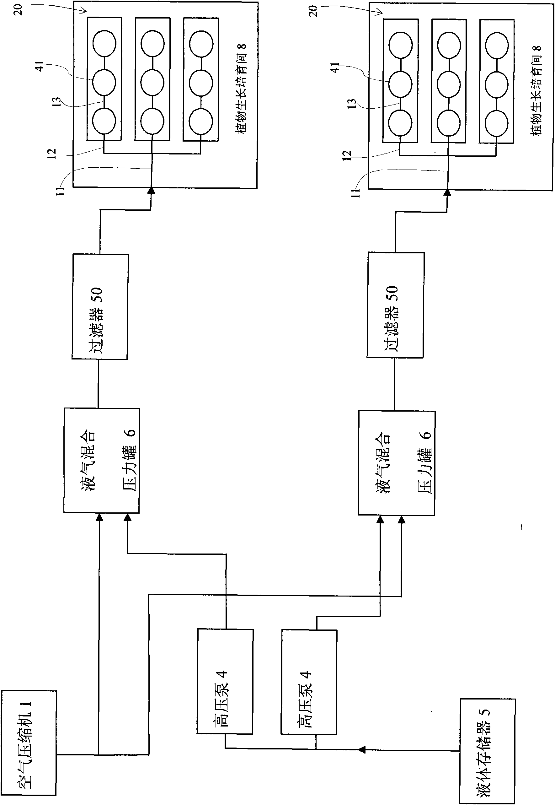 Plant rapid propagation system and method