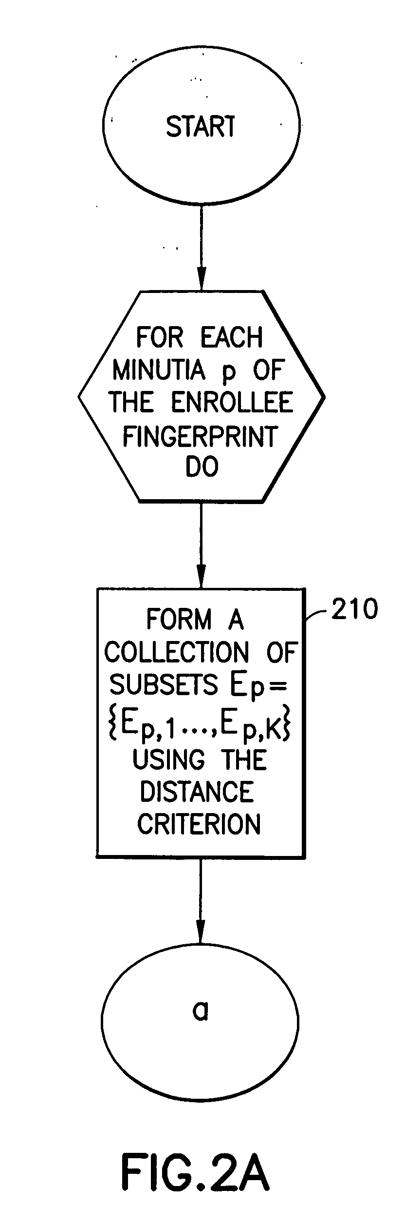 Fingerprint verification