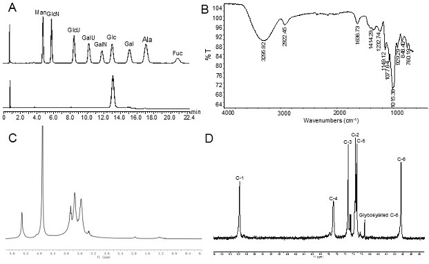 Neutral sea cucumber polysaccharide for resisting type II diabetes mellitus as well as preparation method and application of neutral sea cucumber polysaccharide