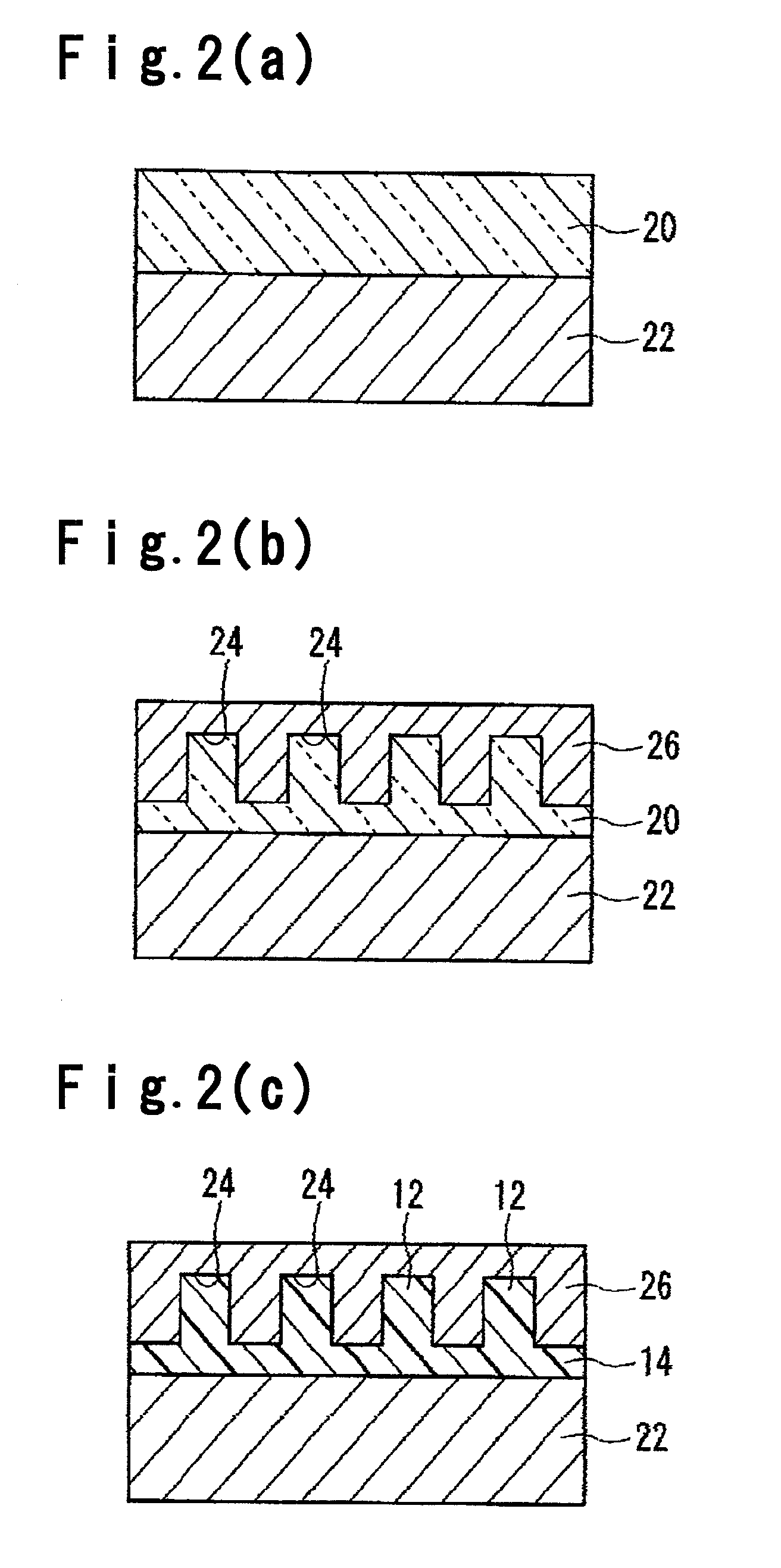 Wire-grid polarizer and process for producing the same