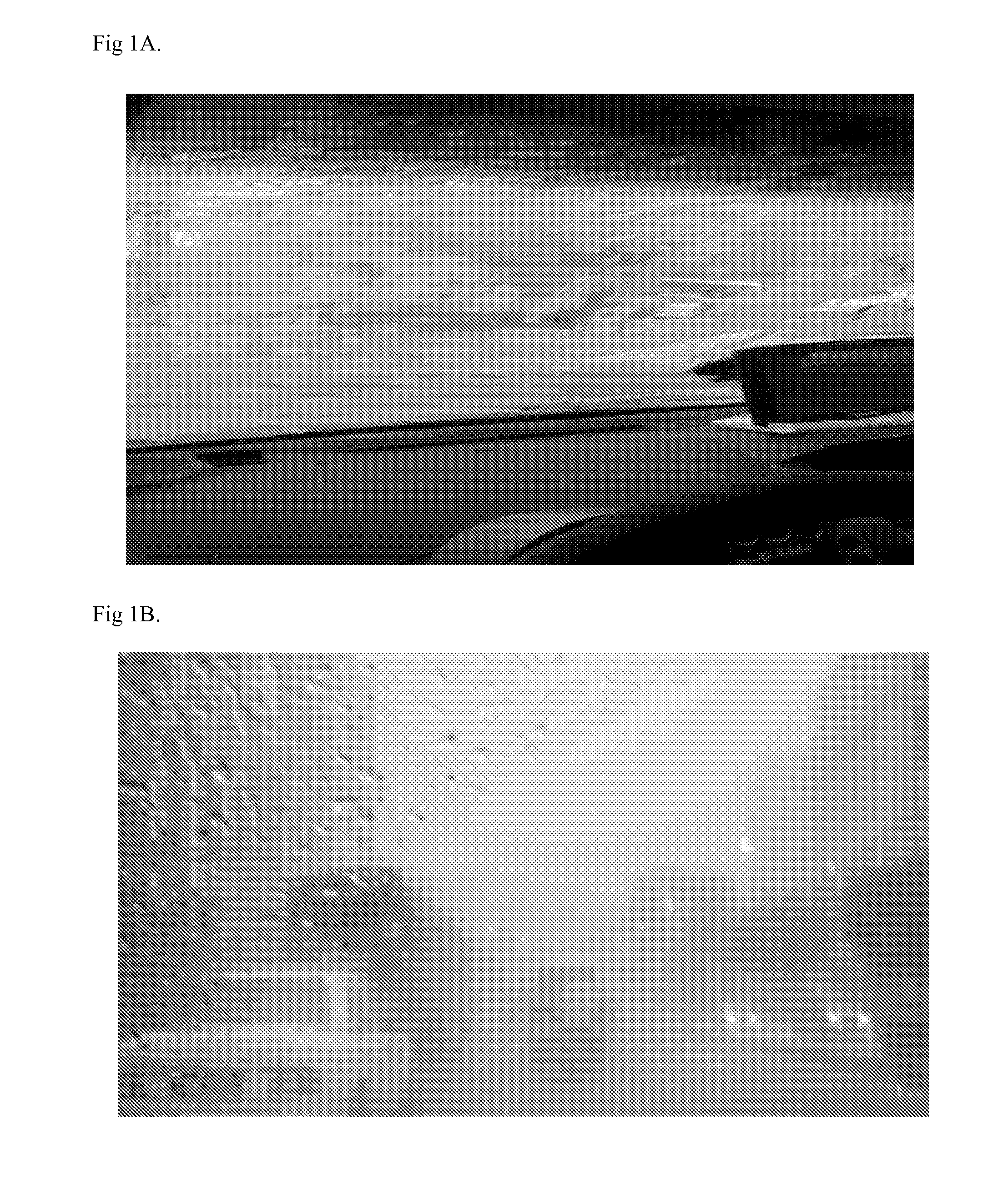 Lane recognition system and method using defog sensor