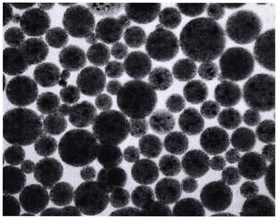 Synbiotic microcapsules and preparing method and application thereof