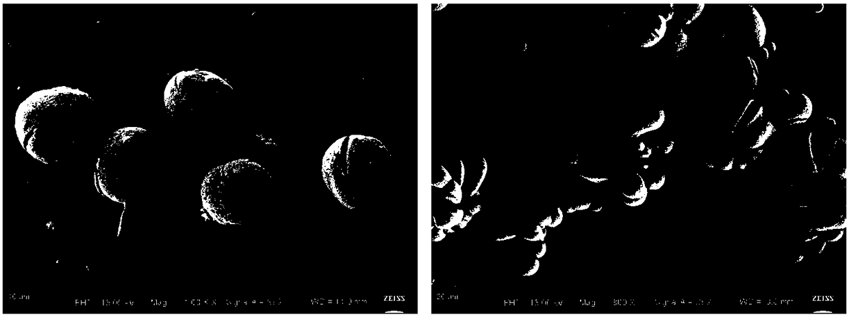 Bone tuberculosis medicine controlled-release microsphere with bone repairing function and preparation method