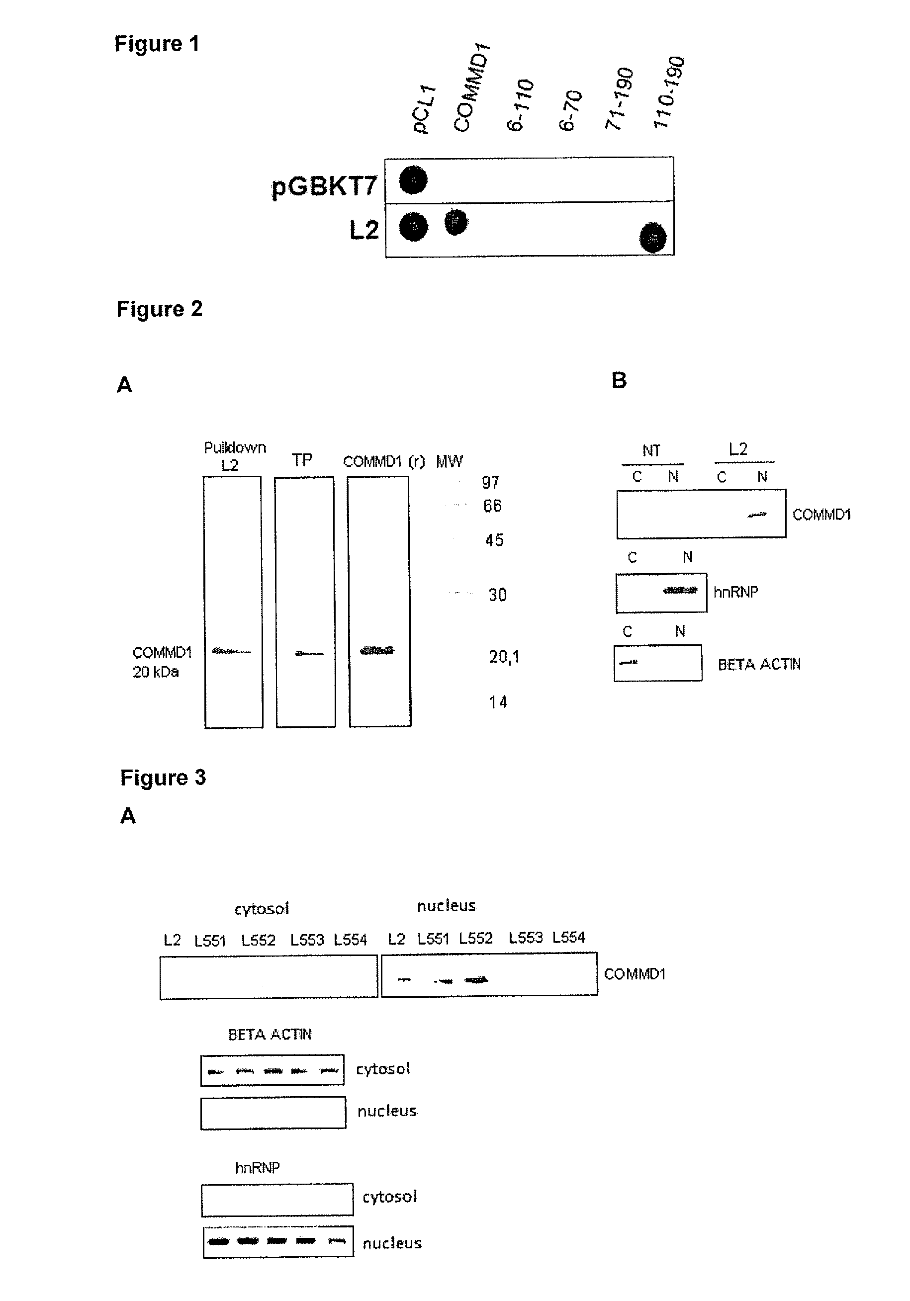 Cancer therapy method