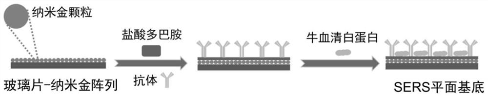 Surface-enhanced Raman immunoassay planar sensor as well as preparation method and application thereof