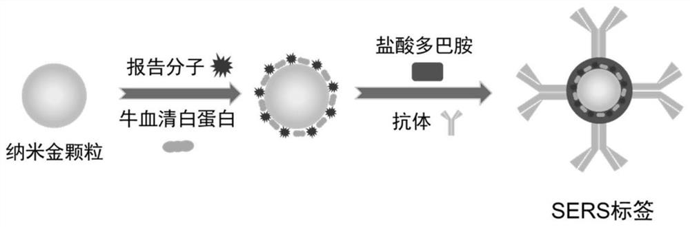 Surface-enhanced Raman immunoassay planar sensor as well as preparation method and application thereof