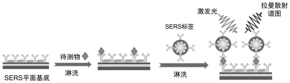 Surface-enhanced Raman immunoassay planar sensor as well as preparation method and application thereof