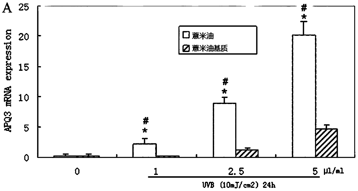 Application of a kind of job's tears oil and job's tears oil emulsified preparation and preparation method thereof