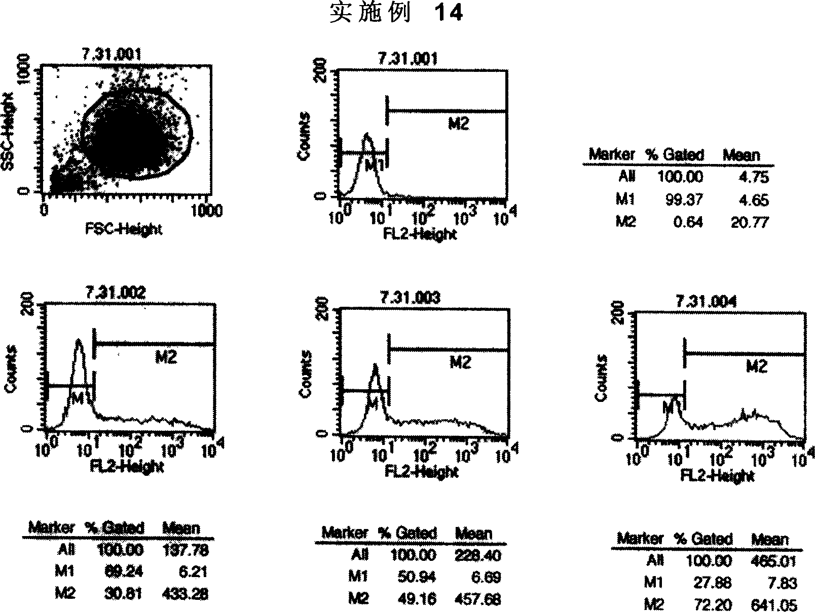 Biamido heterocyclic derivative with antitumour activity and its preparation method and use