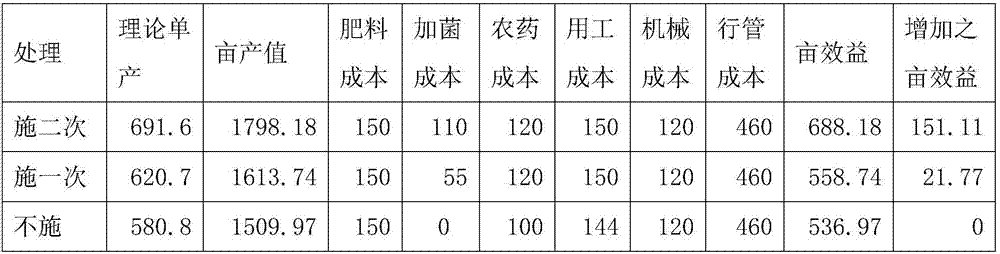 Method for enhancing stress resistance by applying soil activator to medium indica rice field