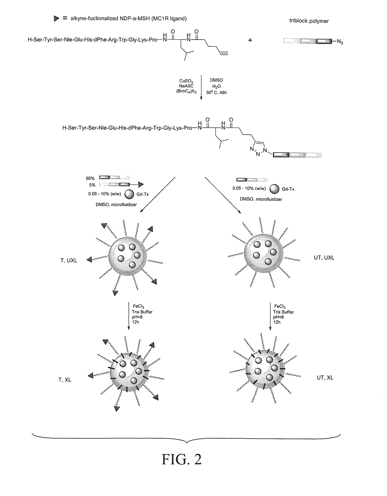 Melanocortin 1 receptor ligands and methods of use