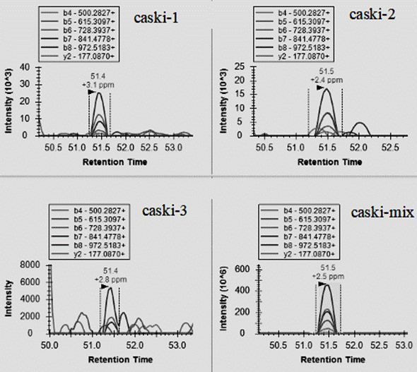 HPV (human papillomavirus) antigen epitope as well as identification method and application thereof